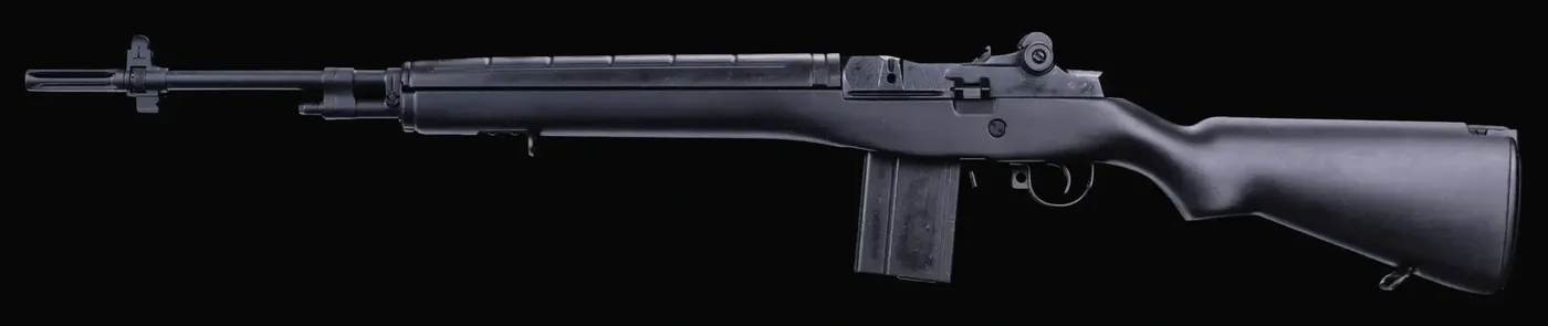 DMR 14, Gunsmith render, Firebase Z, Call of Duty Black Ops Cold War Zombies