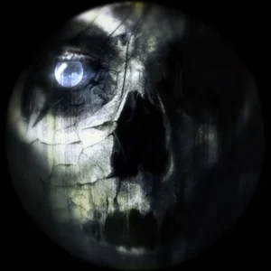 The skull of the burning church jumpscare, game texture, Call of Duty Black Ops II Zombies