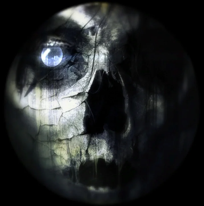 The skull of the burning church jumpscare, game texture, Call of Duty Black Ops II Zombies