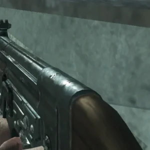 The STG-44 held in first person, Call of Duty Black Ops Zombies