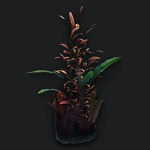 The plant, KT-4 ingredient icon, Zetsubou No Shima, Call of Duty Black Ops III Zombies