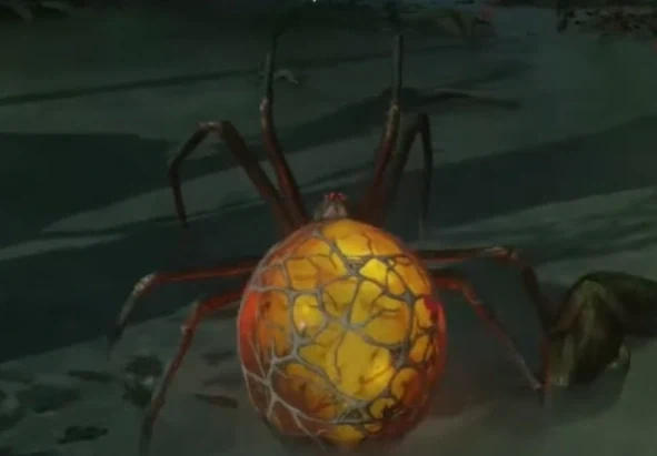 A player controlling a spider with the Spider Bait, Zetsubou No Shima, Call of Duty Black Ops III Zombies